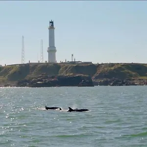 Lighthouse With Hottub Holiday home Aberdeen